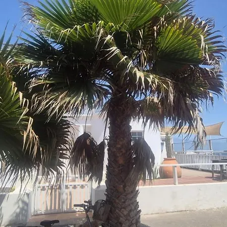 Mision Costa Hotel 4*