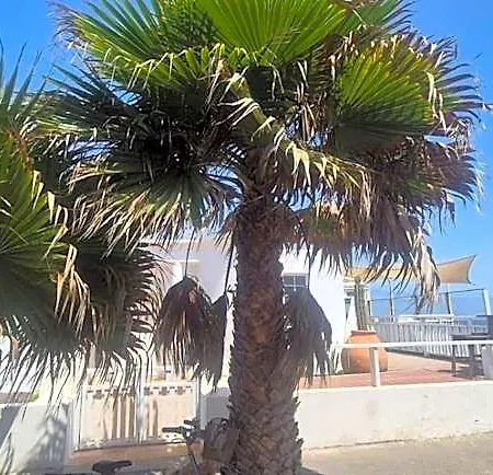 Hotel Mision Costa 4*
