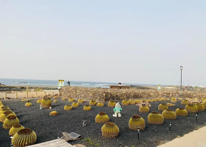 Mision Costa كوراليهو