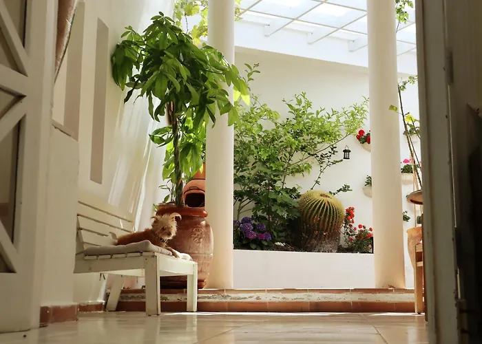 Mision Costa فندق