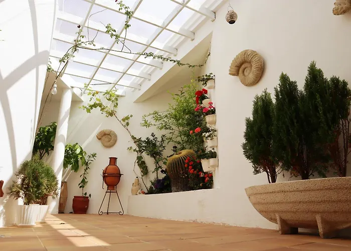 فندق Mision Costa